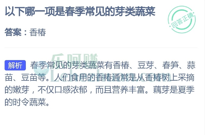 以下哪一项是春季常见的芽类蔬菜?