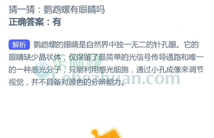 鹦鹉螺有眼睛吗?