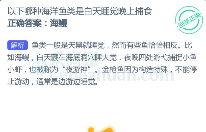以下哪种海洋鱼类是白天睡觉晚上捕食?