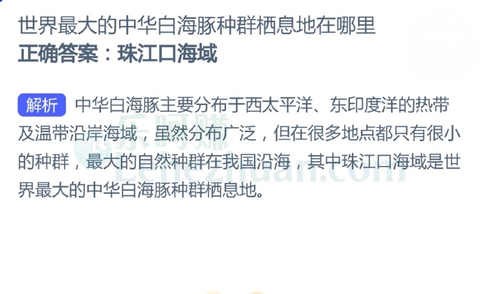 世界最大的中华白海豚种群栖息地在哪里?