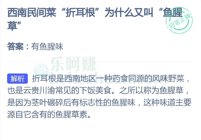 西南民间菜“折耳根”为什么又叫“鱼腥草”?