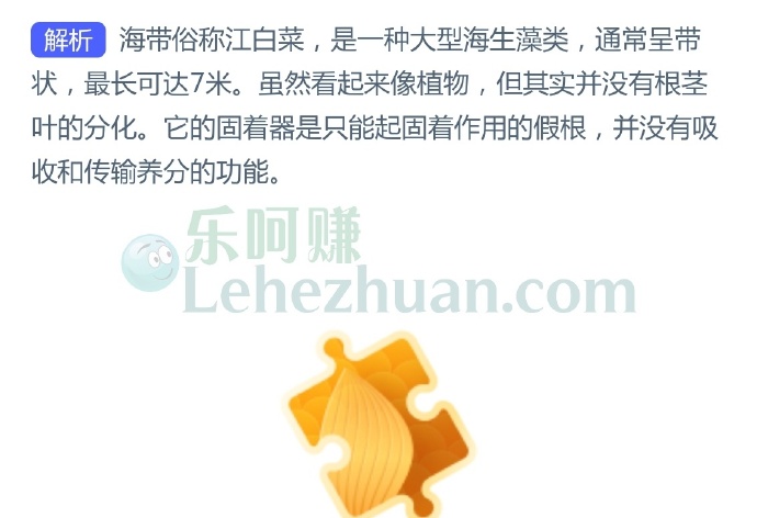 人们常说的“江白菜”是哪种海洋生物?