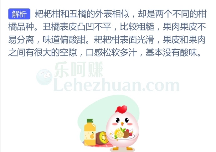 人们常说的丑橘和粑粑柑是种水果吗?