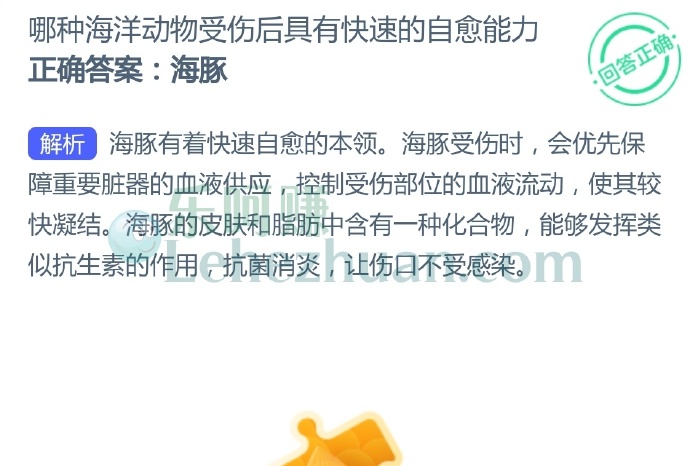 哪种海洋动物受伤后具有快速的自愈能力?