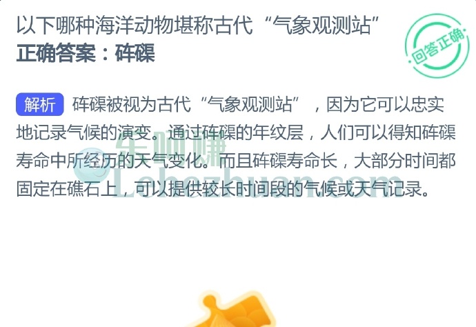 以下哪种海洋动物堪称古代“气象观测站”?