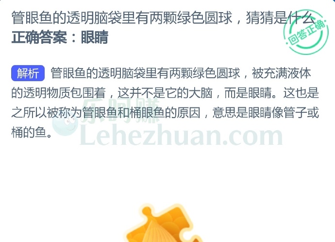 管眼鱼的透明脑袋里有两颗绿色圆球,猜猜是什么?