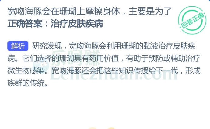 宽吻海豚会在珊瑚上摩擦身体,主要是为了?