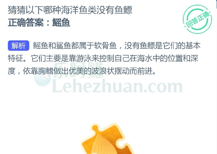 猜猜以下哪种海洋鱼类没有鱼鳔?