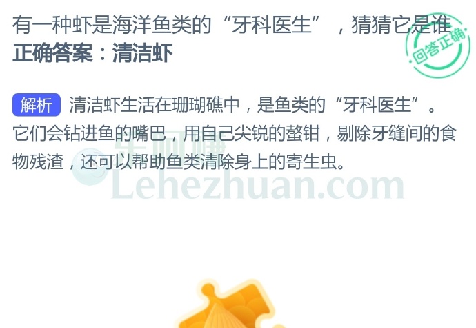 有一种虾是海洋鱼类的"牙科医生",猜猜它是谁?