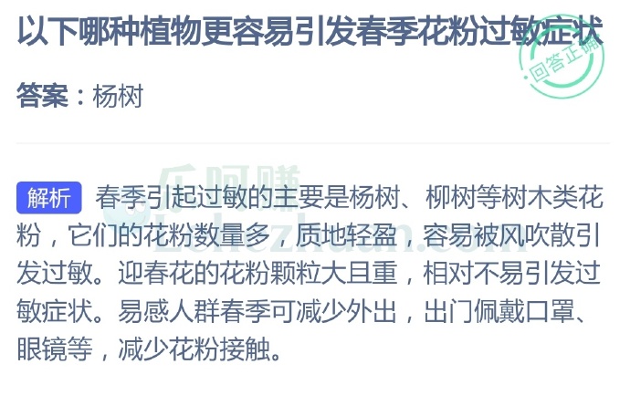 以下哪种植物更容易引发春季花粉过敏症状?