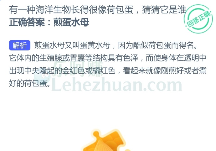 有一种海洋生物长得很像荷包蛋,猜猜它是谁?