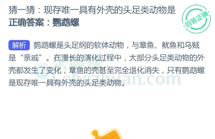 现存唯一具有外壳的头足类动物是?
