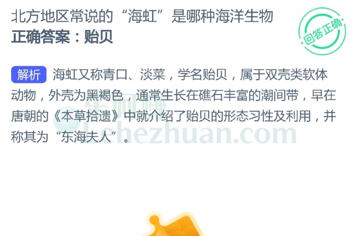 北方地区常说的“海虹”是哪种海洋生物?