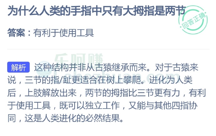 为什么人类的手指中只有大拇指是两节?