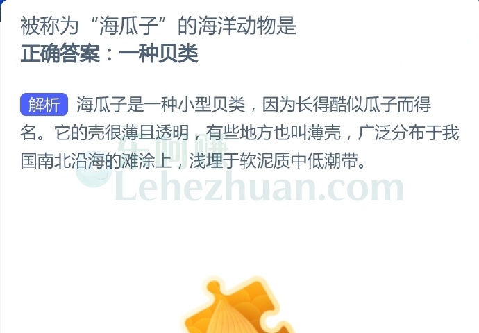 被称为“海瓜子”的海洋动物是?