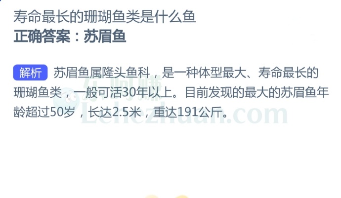 寿命最长的珊瑚鱼类是什么鱼?