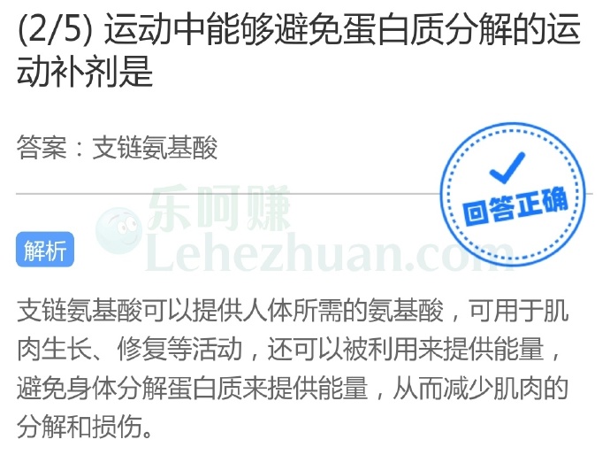 运动中能够避免蛋白质分解的运动补剂是?