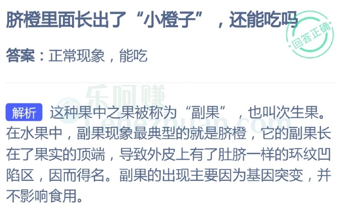 脐橙里面长出了“小橙子”还能吃吗?
