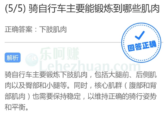 骑自行车主要能锻炼到哪些肌肉?