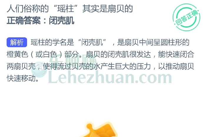 人们俗称的“瑶柱”其实是扇贝的?