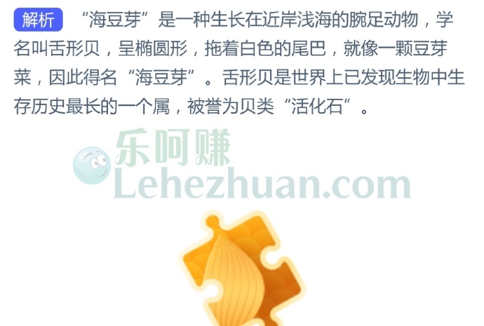 人们常说的“海豆芽”是哪种海洋生物?