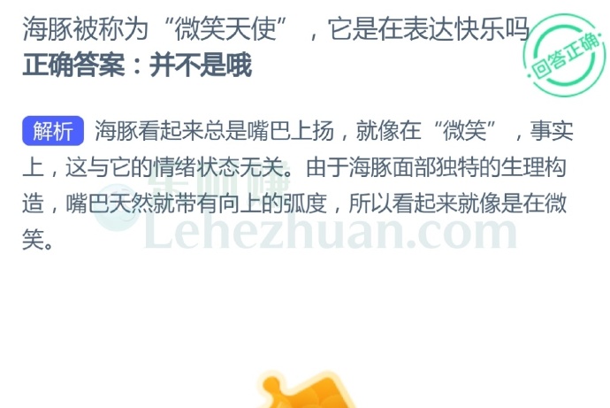 海豚被称为“微笑天使”,它是在表达快乐吗?