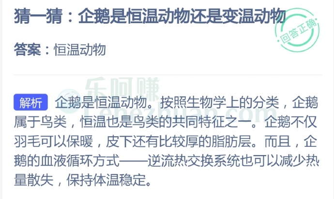 企鹅是恒温动物还是变温动物?