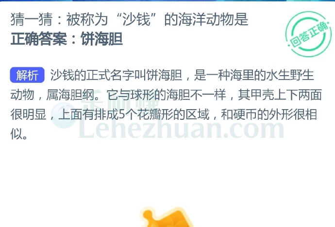 被称为“沙钱”的海洋动物是?