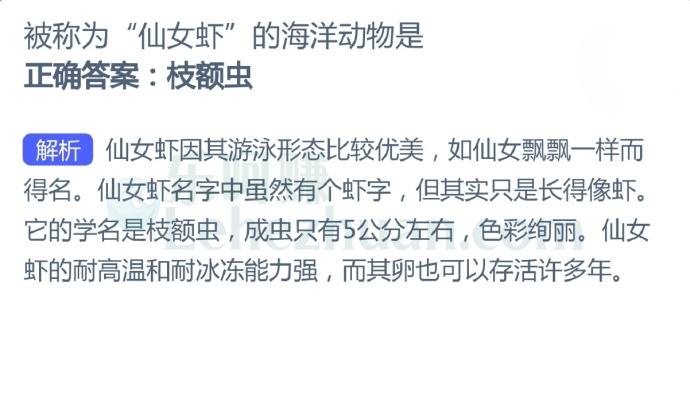被称为“仙女虾”的海洋动物是?