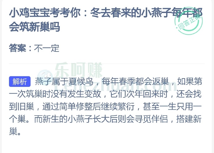 冬去春来的小燕子每年都会筑新巢吗?