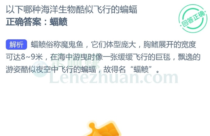 以下哪种海洋生物酷似飞行的蝙蝠?