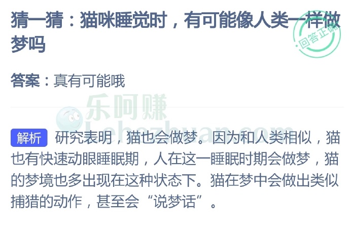 猫咪睡觉时有可能像人类一样做梦吗?