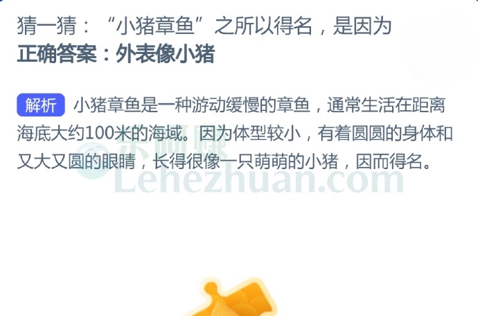 “小猪章鱼”之所以得名是因为?