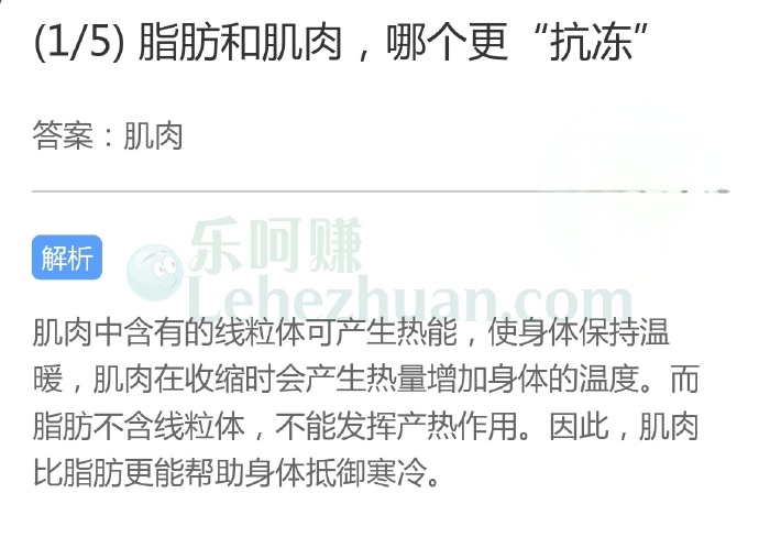 脂肪和肌肉,哪个更“抗冻”?