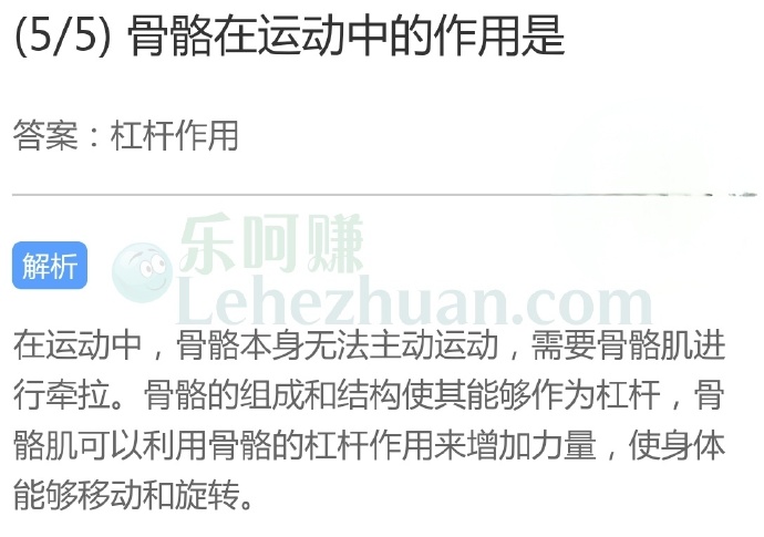 骨骼在运动中的作用是?