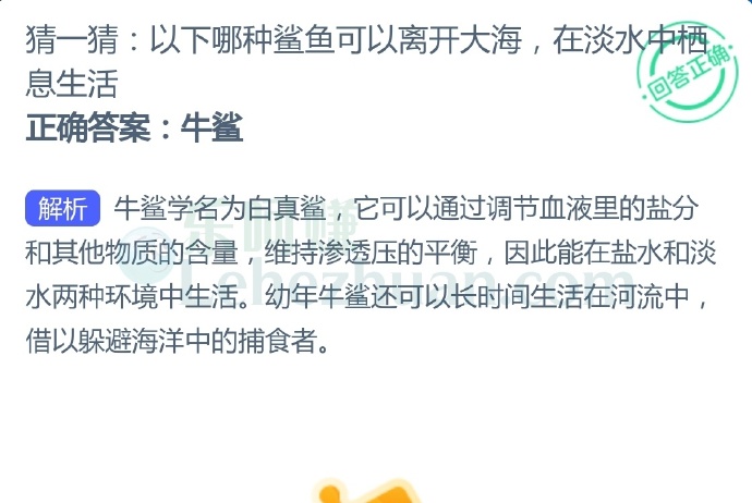 以下哪种鲨鱼可以离开大海,在淡水中栖息生活?