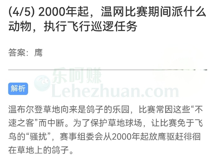2000年起,温网比赛期间派什么动物,执行飞行巡逻任务?