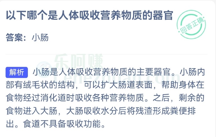 以下哪个是人体吸收营养物质的器官?