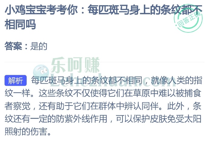 每匹斑马身上的条纹都不相同吗?