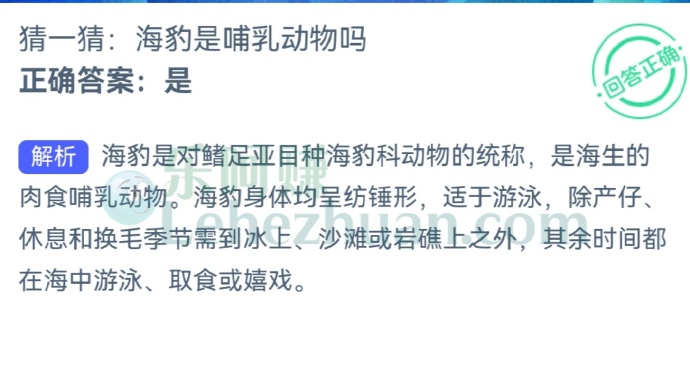 海豹是哺乳动物吗?
