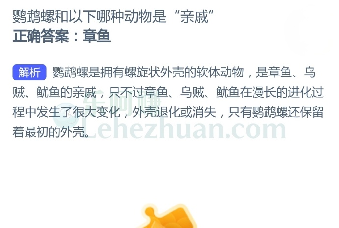 鹦鹉螺和以下哪种动物是“亲戚”?