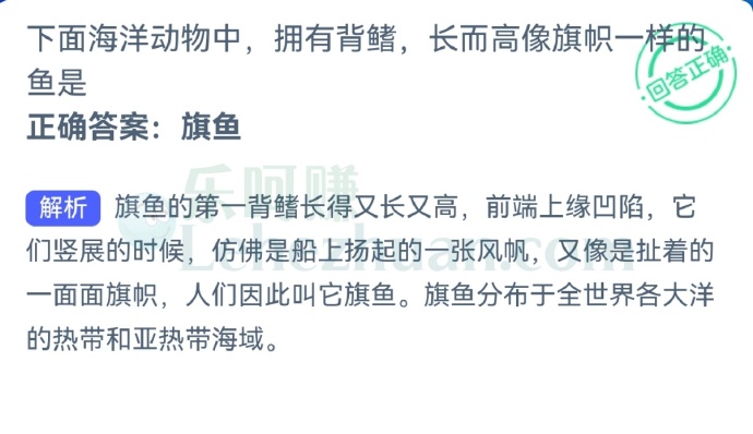下面海洋动物中,拥有背鳍,长而高像旗帜一样的鱼是?