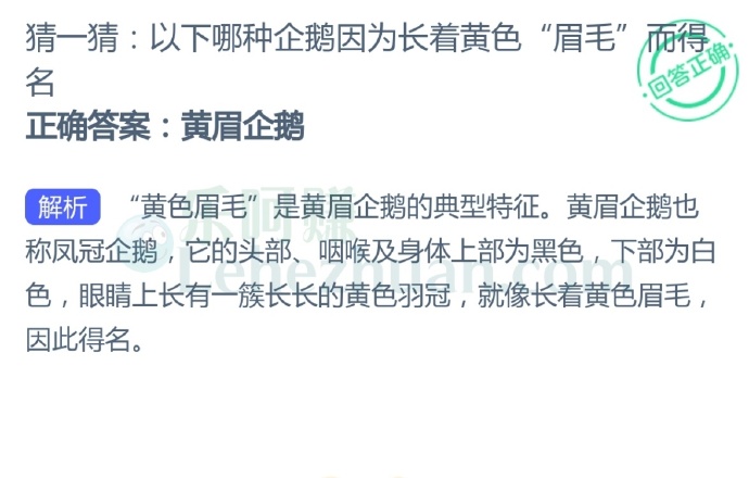 以下哪种企鹅因为长着黄色“眉毛”而得名?