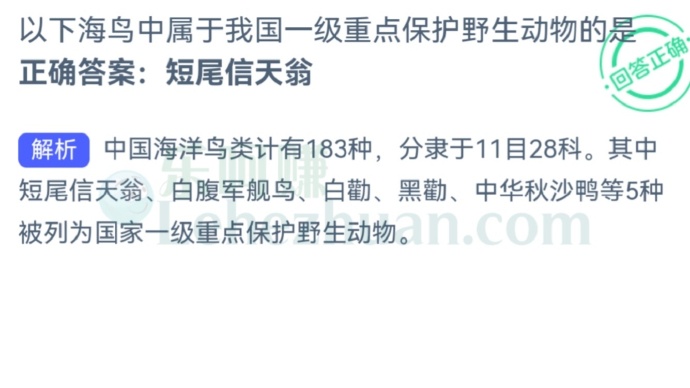 以下海鸟中属于我国一级重点保护野生动物的是?