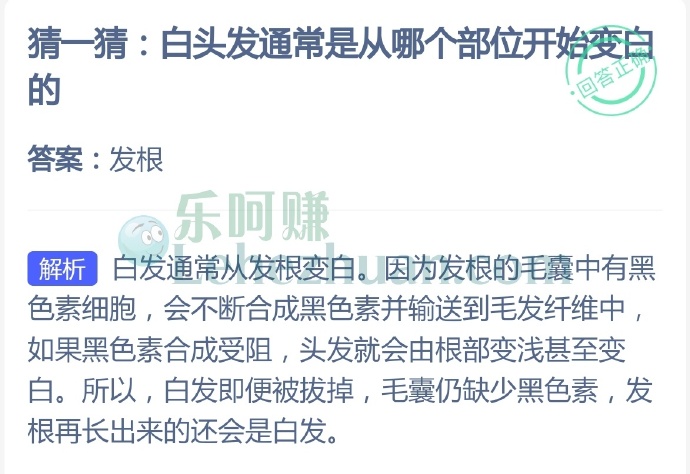 白头发通常是从哪个部位开始变白的?