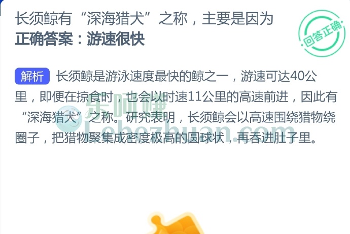 长须鲸有“深海猎犬”之称,主要是因为?