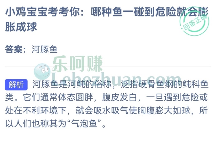 哪种鱼一碰到危险就会膨胀成球?