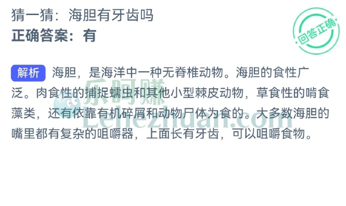 海胆有牙齿吗?