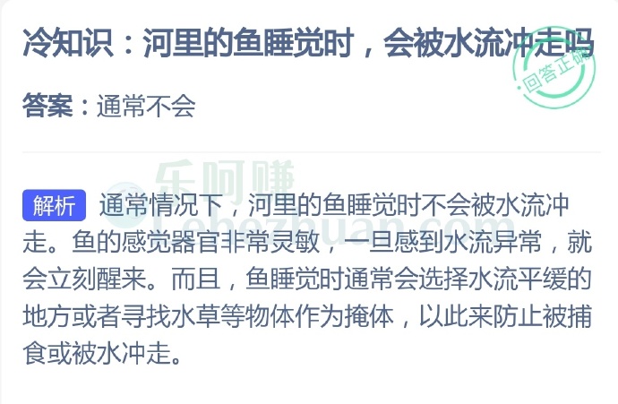 河里的鱼睡觉时会被水流冲走吗?