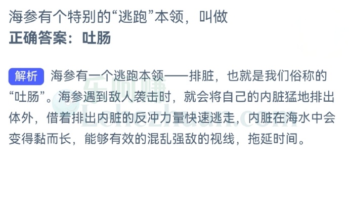 海参有个特别的“逃跑”本领,叫做?